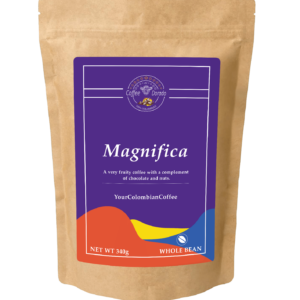 Magnifica whole bean 340g